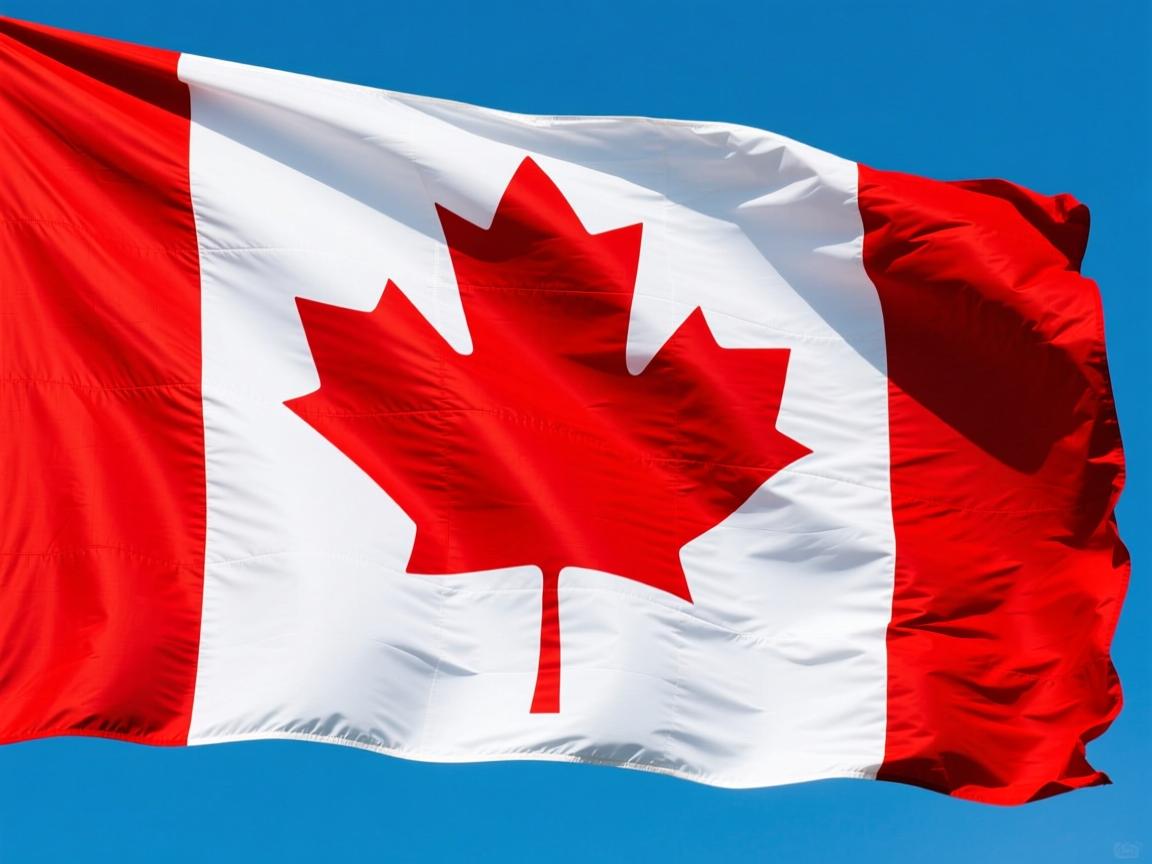 开云在线登入-欧冠“最强战队”谁与争锋？球队实力大揭秘，欧冠足球队排名  第3张